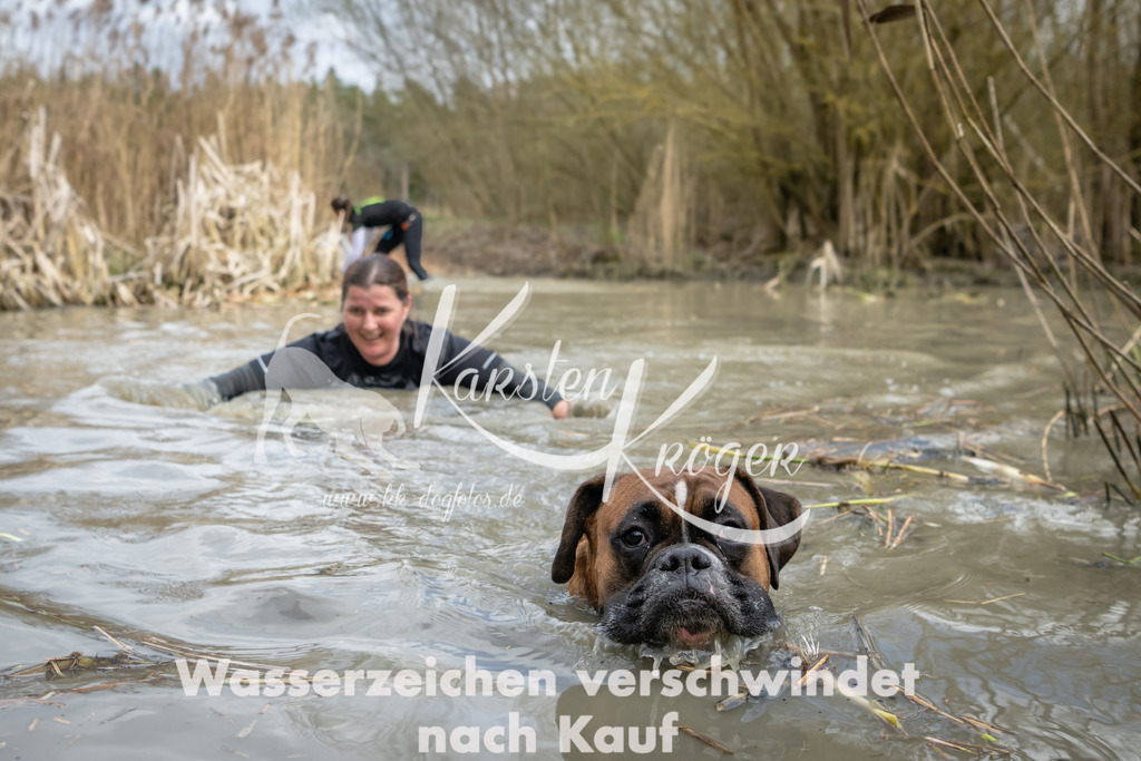 1557_ZZ94893 | kk-dogfotos