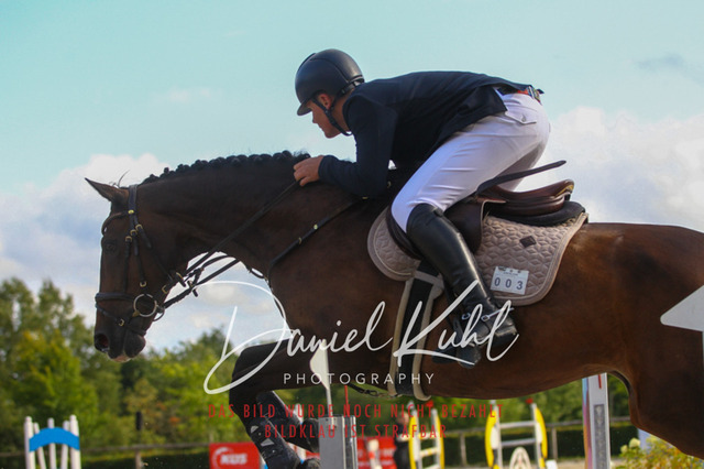 DKP43949 | Turniersportfotografie; Pferdefotografie; Dressurfotografie