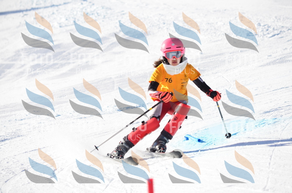 C5940 | holidayphoto