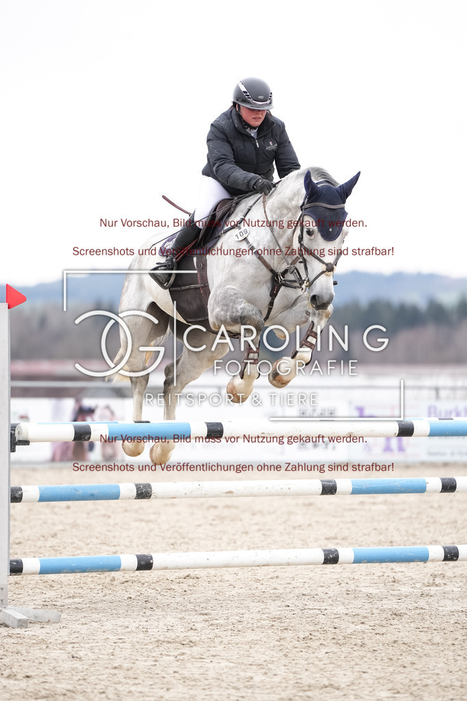 DSC07026 | New Star - F, Kathrine_Wingerter