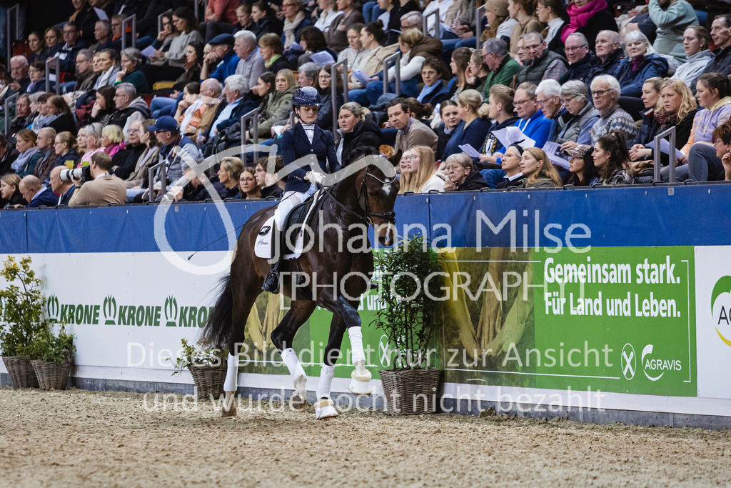 250108_Muenster_Hengstpräsentation-110 | Deine schönsten Turniermomente als professionelle Fotos! Entdecke hochwertige Pferdesport-Fotografie im Online-Shop. Jetzt Fotos finden & bestellen!