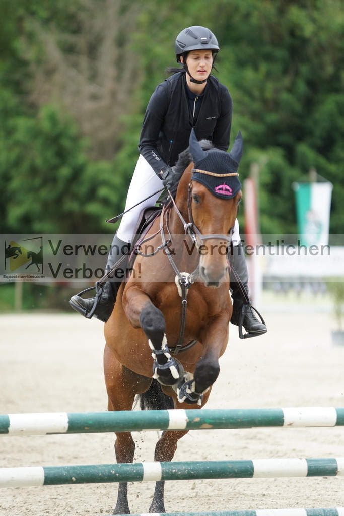 DSC07649 | equestrian-live-com