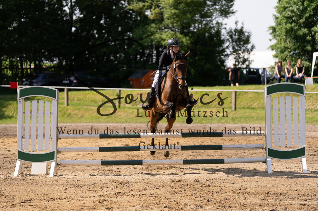 A7507316 | Turnier/Reitfotograf