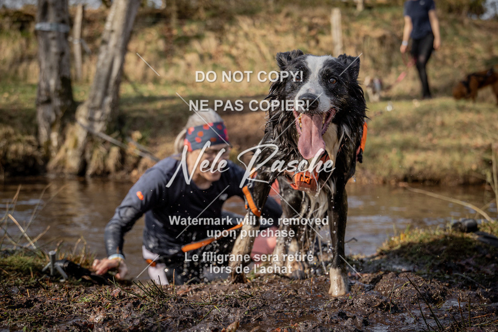 nelerasche_FS1330-1400_240 | nelerasche