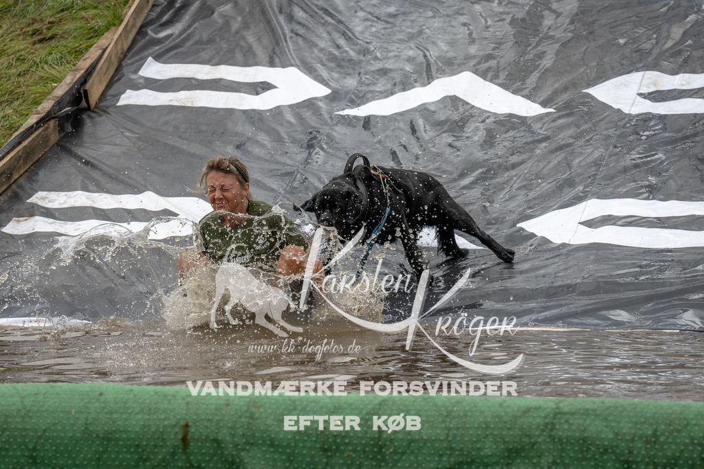 1554_ZZ91423 | kk-dogfotos