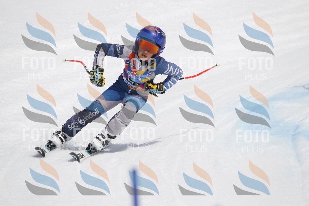 _U3G2385 | holidayphoto