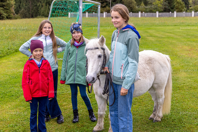 Herbstmarkt | Bildershop von pixelworld.at - Realisiert mit Pictrs.com
