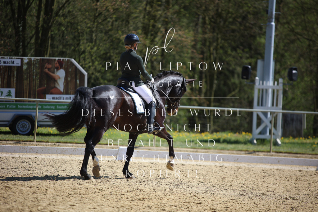 IMGT7741 | pl-fotografie