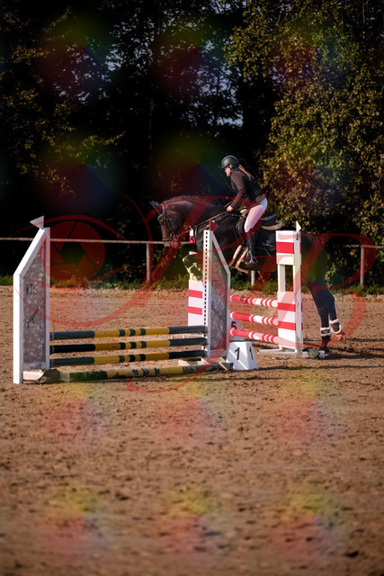 2026_10_03_Siefer-Hof_154341_Z81_61800246 | Professionelle Reitsport-, Turnier- und Eventfotografie von Robert Broda. Galerien mit ausgewählten und bearbeiteten Bildern direkt online ansehen und bestellen.
