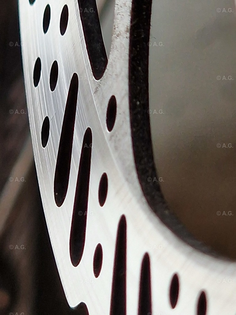 20220413_164603 | aileen-glaeser - Realisiert mit Pictrs.com