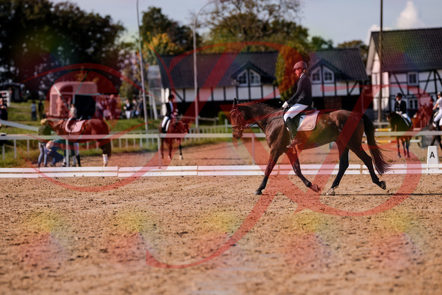 2026_10_03_Siefer-Hof_130229_Z81_56917832 | Professionelle Reitsport-, Turnier- und Eventfotografie von Robert Broda. Galerien mit ausgewählten und bearbeiteten Bildern direkt online ansehen und bestellen.