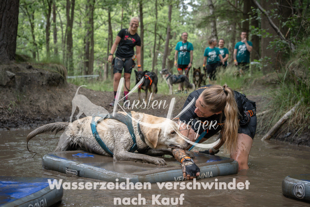 1246_ZZ90736 | kk-dogfotos
