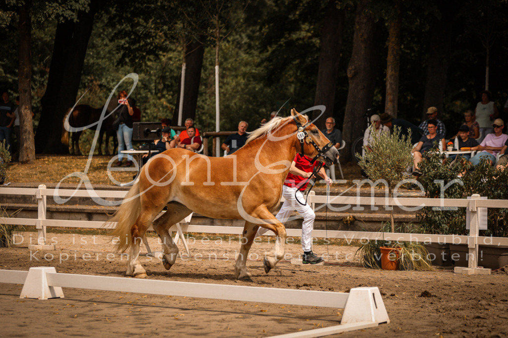 3.Sa00049 | Leoni Ertmer Photography - Realisiert mit Pictrs.com
