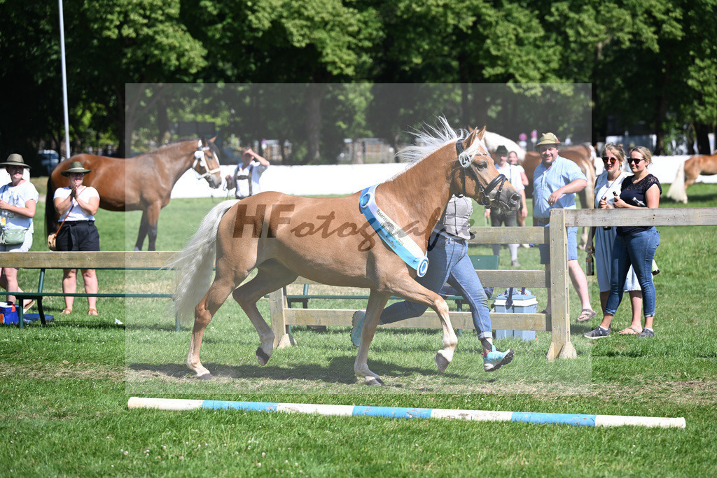 Kat-Nr. 24 Bel Amour v. Armani Ass_Aicher_18251486 | hf-fotografie - Realizzato con Pictrs.com