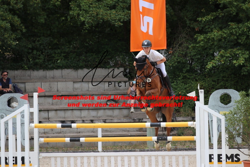 IMG_2139 | lmwpictures - Realisiert mit Pictrs.com