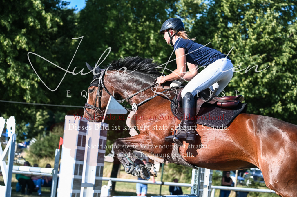 DSC_2877 | Pferde- und Turnierfotografie in Westsachsen. Pferdeportraits, Auftragszeichnungen und intuitive Kunst.