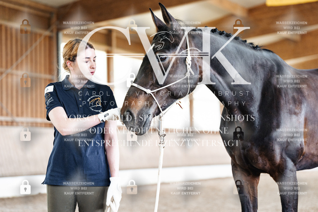 CK908131 | Turnierfotografie Pferdefotografie Trier Rheinland-Pfalz Pferdesport Reitsport Tierfotografie Sportfotografie Pferdevideo Pferdevideografie Equestrianvideography equestrianphotography  - Realisiert mit Pictrs.com