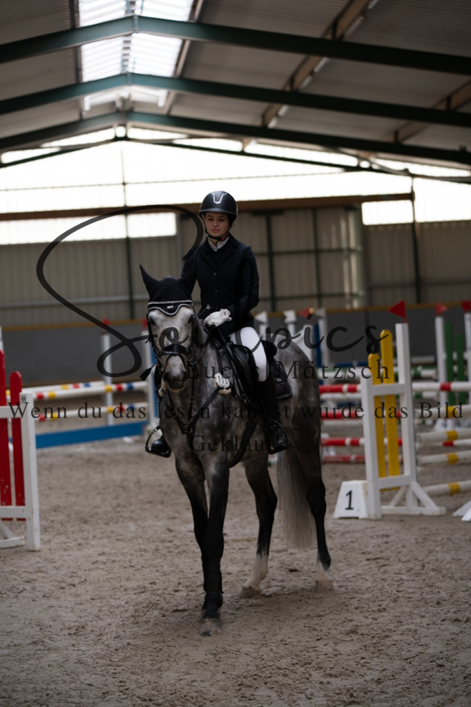 A7V08118 | Pferdefotograf