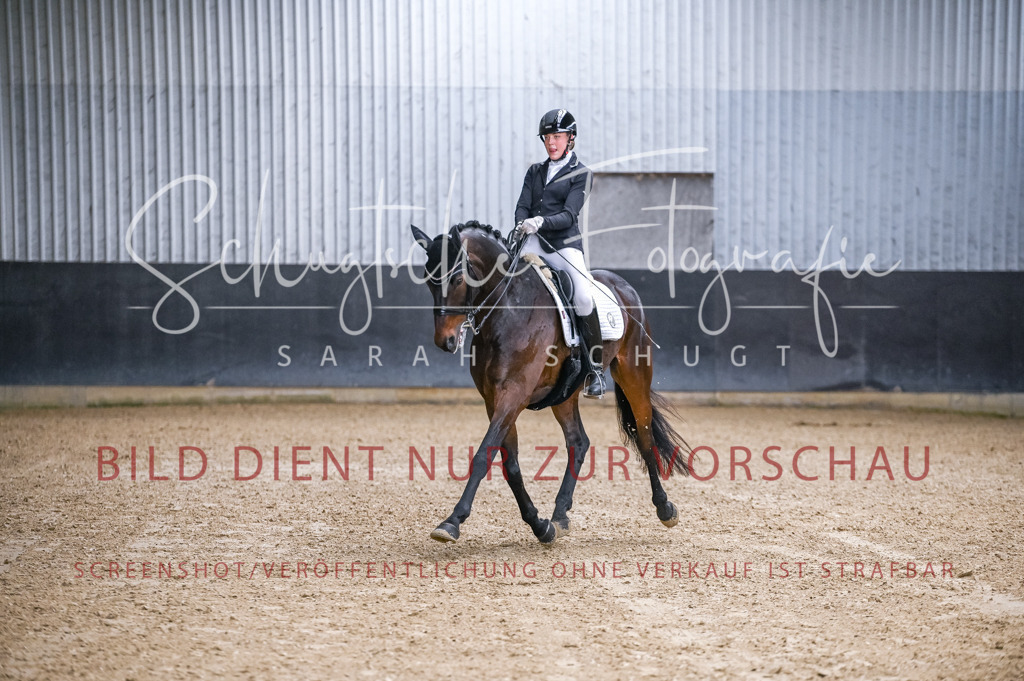 Schugtsche-Aluta25-56.Dressurprf.L1Kand.-149 | Schugtsche Fotografie - Realisiert mit Pictrs.com