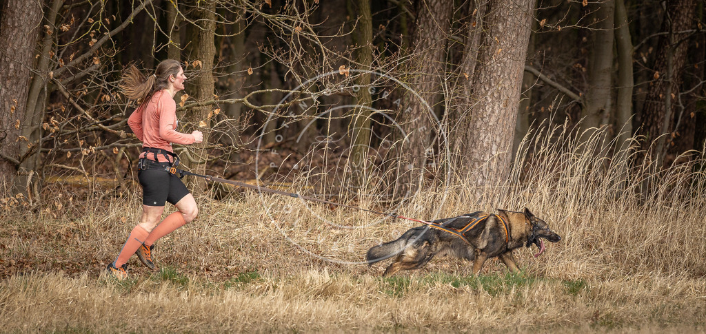 DV3A4188 | Hundefotografie, Tierfotograf, Pfotenfotografie, Fotoshooting Hund, Hunde Portrait, Hundesport, Hundeportraits, Heideshooting, Hunde, Sportfotograf, Hundefotograf, Turnierhundsport, THS,  - Realisiert mit Pictrs.com