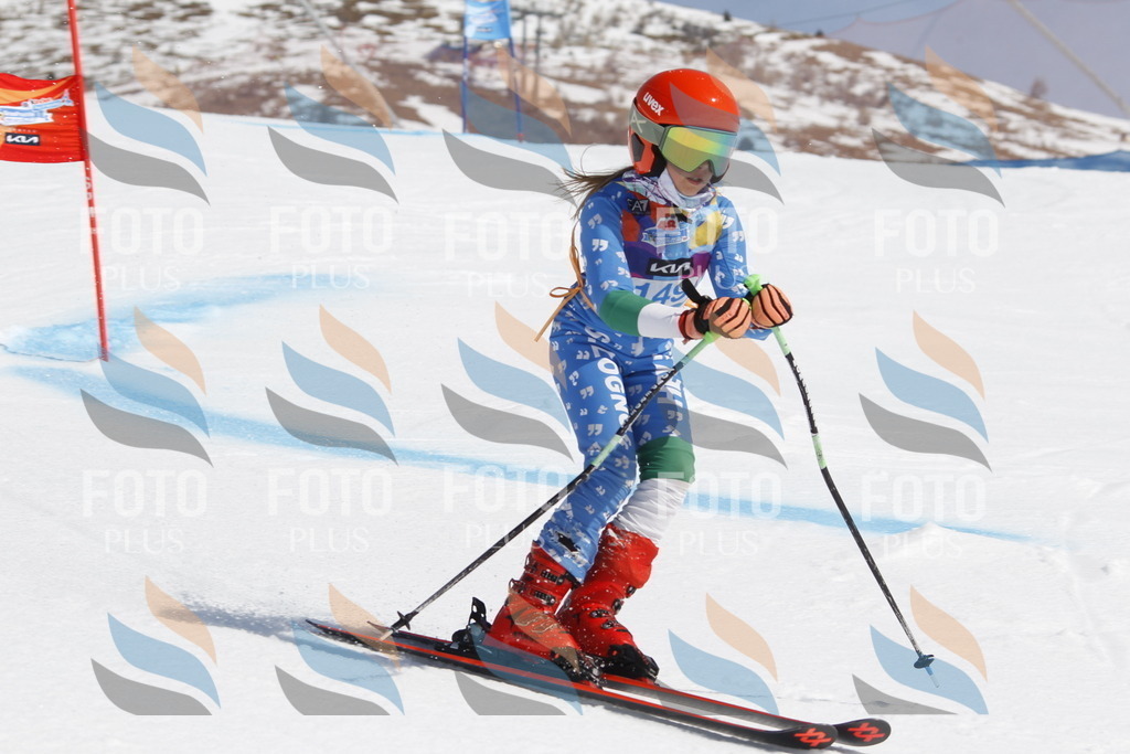 _U3G1210 | holidayphoto