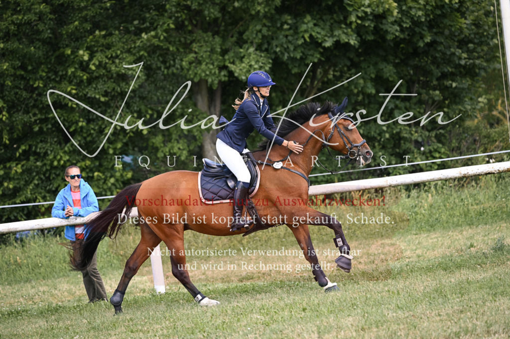 DSC_0329 | Pferde- und Turnierfotografie in Westsachsen. Pferdeportraits, Auftragszeichnungen und intuitive Kunst.