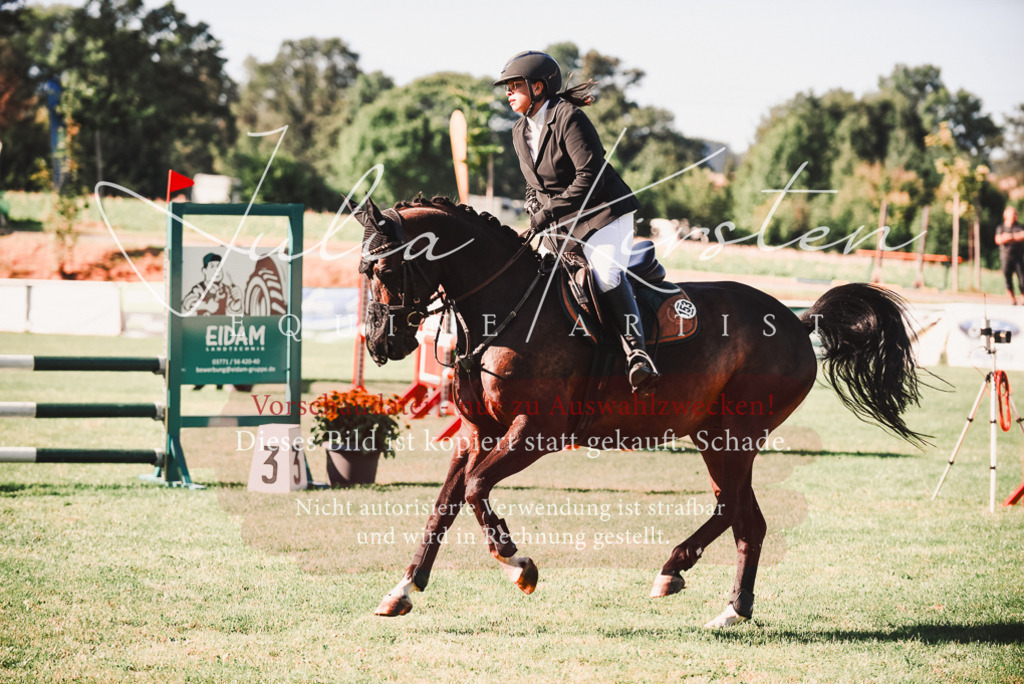 DSC_2282 | Pferde- und Turnierfotografie in Westsachsen. Pferdeportraits, Auftragszeichnungen und intuitive Kunst.