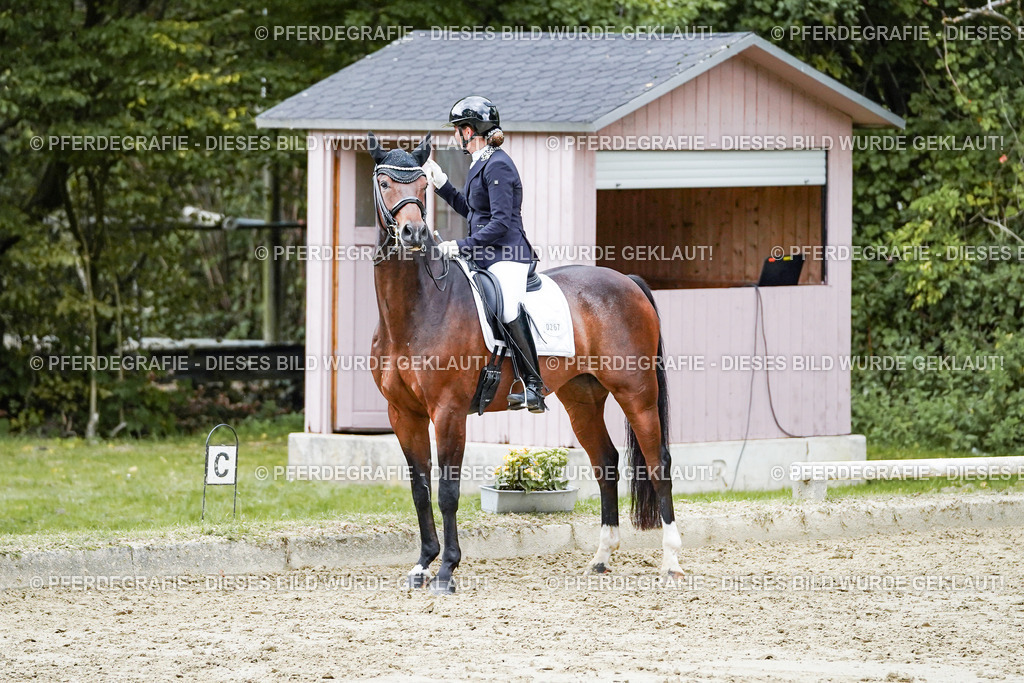 DSC06604 | Pferdegrafie