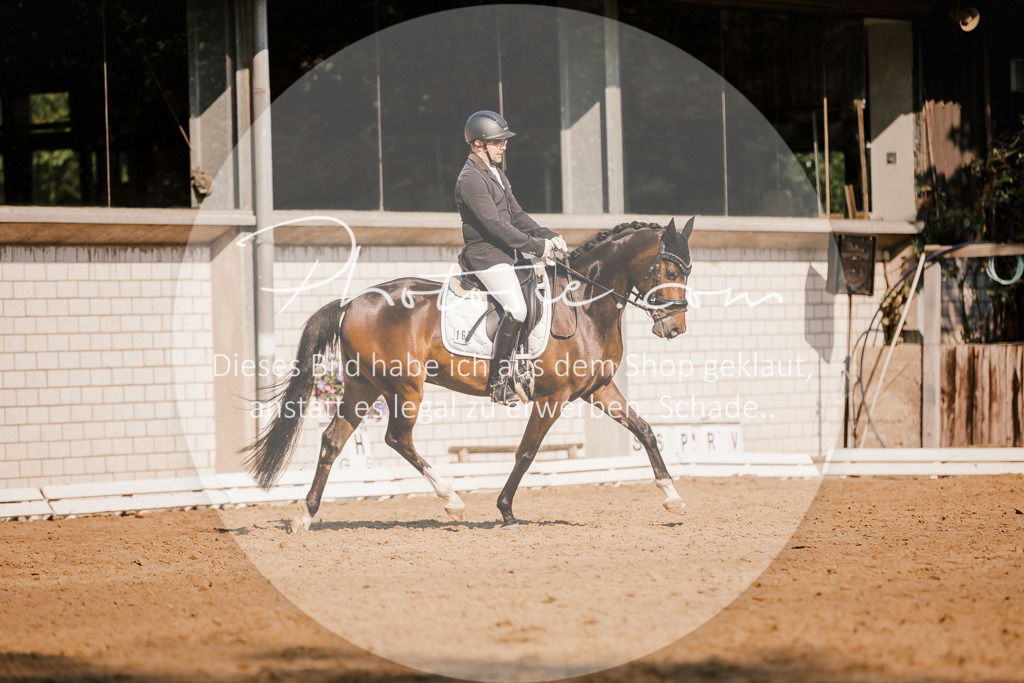 3I6A8865 | Stimmungsvolle Portraits und Reitsportfotografie im Ruhrgebiet und im Münsterland.

Pferdefotografie, Hundefotografie, Tierfotografie, Reportagen, Portraits von Tier und Mensch, Turnierfotografie in Bochum, Recklinghausen, Marl, Haltern am See, Dülmen.. - Realisiert mit Pictrs.com