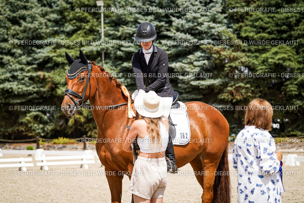 DSC01738 | Pferdegrafie