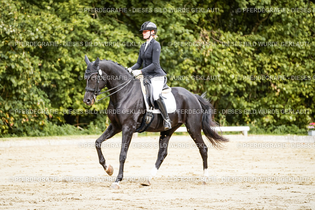 DSC03386 | Pferdegrafie