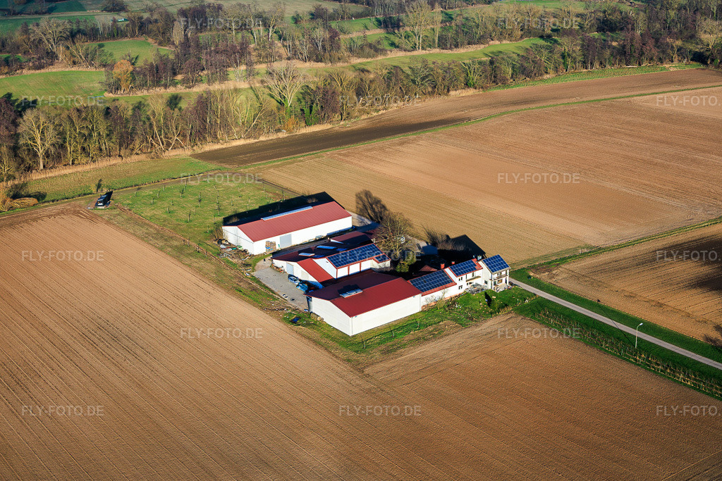 Luftbild: Wein- u. Sektgut Rosenhof in Wörth am Rhein im Bundesland Rheinland-Pfalz in Deutschland. Foto: IMG_152596.jpg vom 31.12.2025 durch Werner Riehm/FLY-FOTO.deRosenhof - Wein- und Sektgut Rosenhof