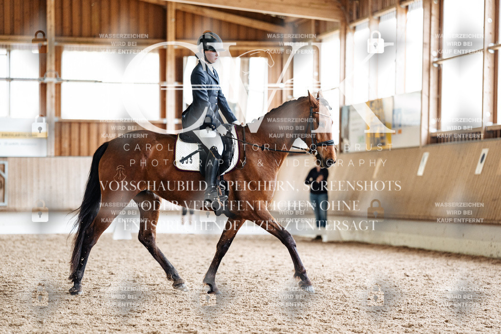 CK900415 | Turnierfotografie Pferdefotografie Trier Rheinland-Pfalz Pferdesport Reitsport Tierfotografie Sportfotografie Pferdevideo Pferdevideografie Equestrianvideography equestrianphotography  - Realisiert mit Pictrs.com