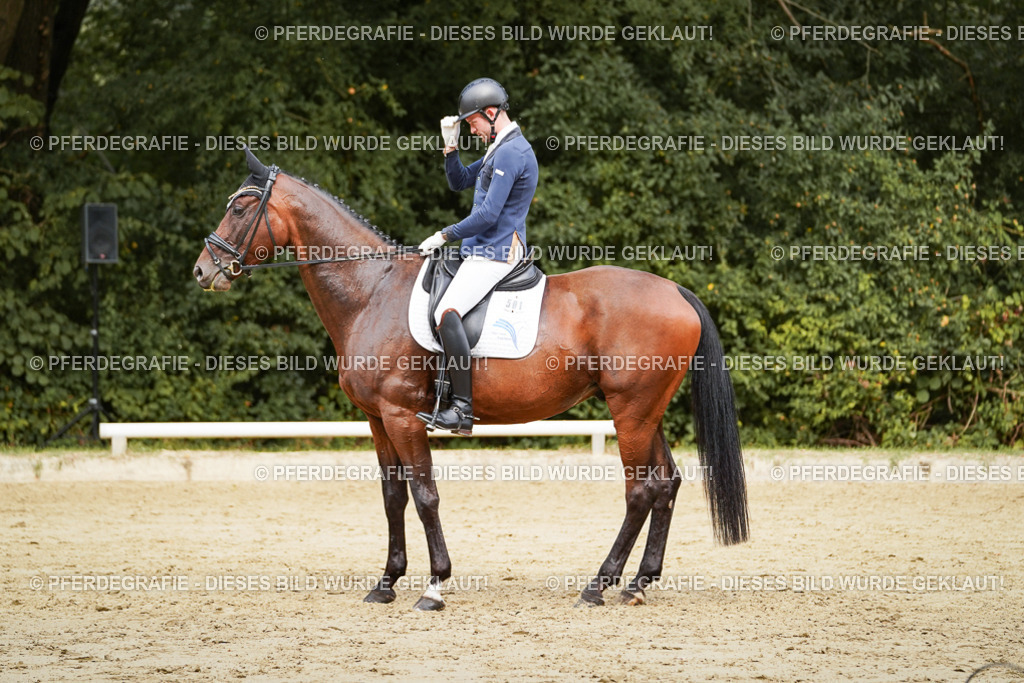 DSC09152 | Pferdegrafie