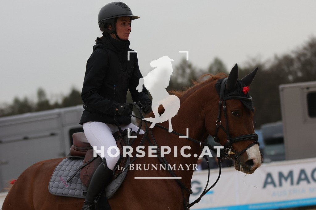 0P6A6647 | Willkommen bei Brunnmayr - Design & Fotografie – Ihrem Spezialisten für Reitturniere und Pferdeveranstaltungen in Oberösterreich, Salzburg und Bayern! Seit über 17 Jahren sind wir leidenschaftlich dabei.