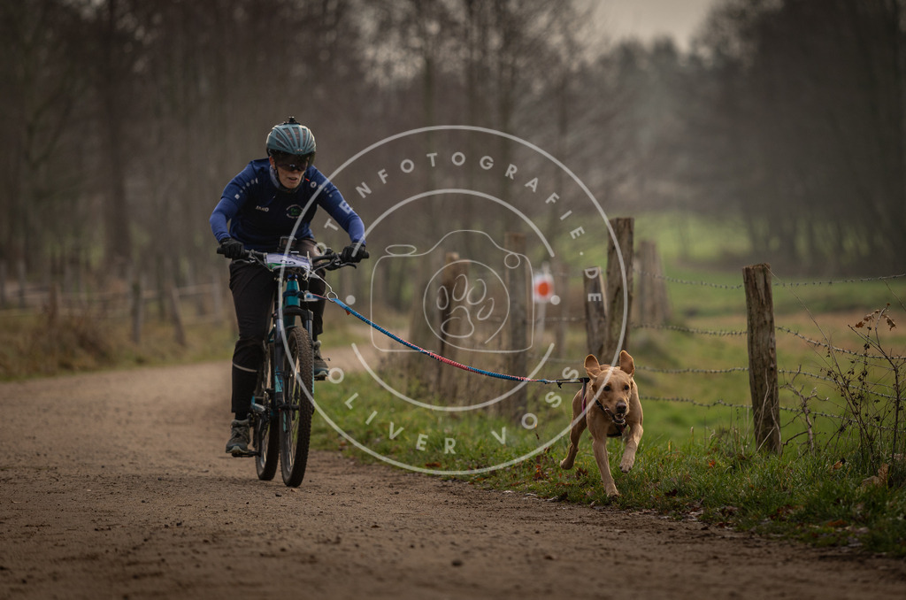 Pfotenfotografie_DV3A1966 | Hundefotografie, Tierfotograf, Pfotenfotografie, Fotoshooting Hund, Hunde Portrait, Hundesport, Hundeportraits, Heideshooting, Hunde, Sportfotograf, Hundefotograf, Turnierhundsport, THS,  - Realisiert mit Pictrs.com