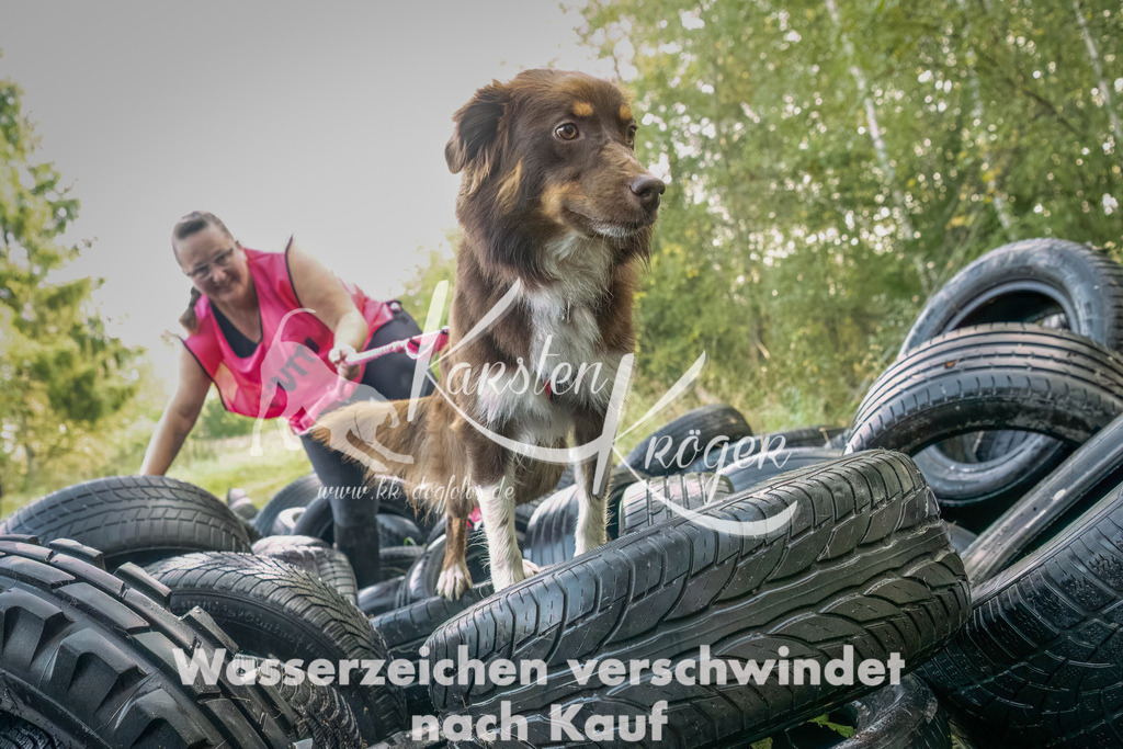 1034_ZZ94859-Bearbeitet-2 | kk-dogfotos