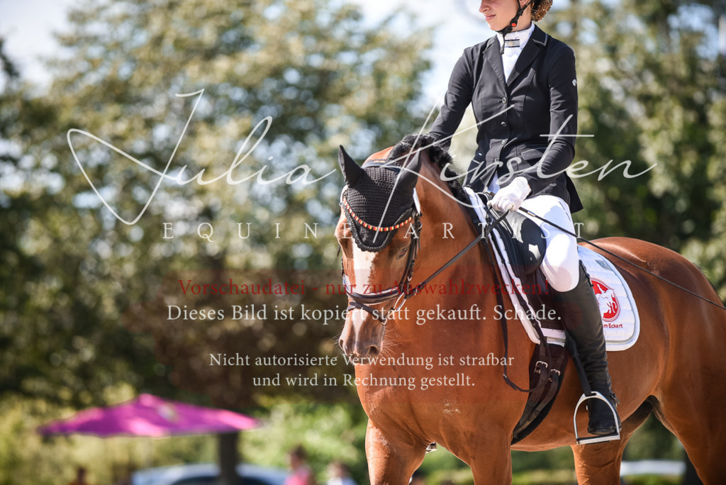 DSC_9468 | Pferde- und Turnierfotografie in Westsachsen. Pferdeportraits, Auftragszeichnungen und intuitive Kunst.