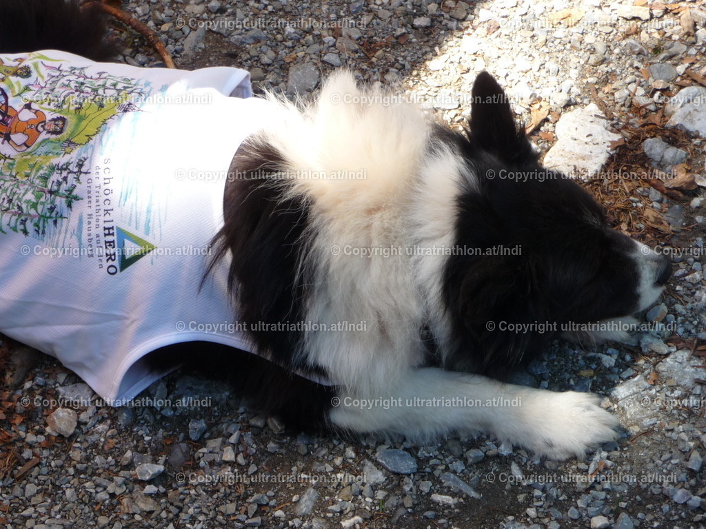 P1060621 | ultratriathlon