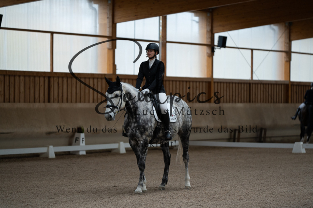 A7V02104 | Pferdefotograf