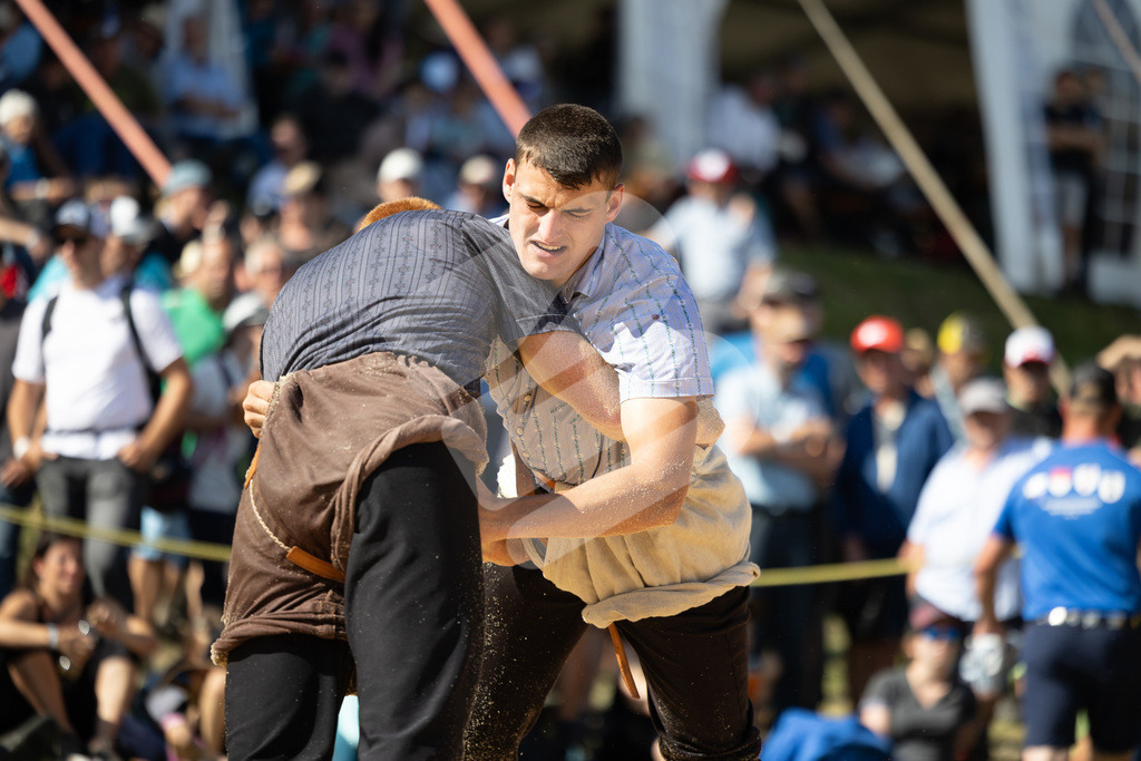Rigi2025_2949 | Die Schwinger des Schwyzer Kantonalen Schwingerverbandes: Fotos, die Dynamik und Leidenschaft festhalten, sowie emotionale Momente aus dem traditionellen Schwingsport zeigen. - Realisiert mit Pictrs.com