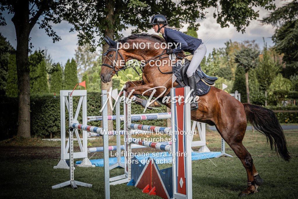 nelerasche_SprM_120Ede_35 | nelerasche