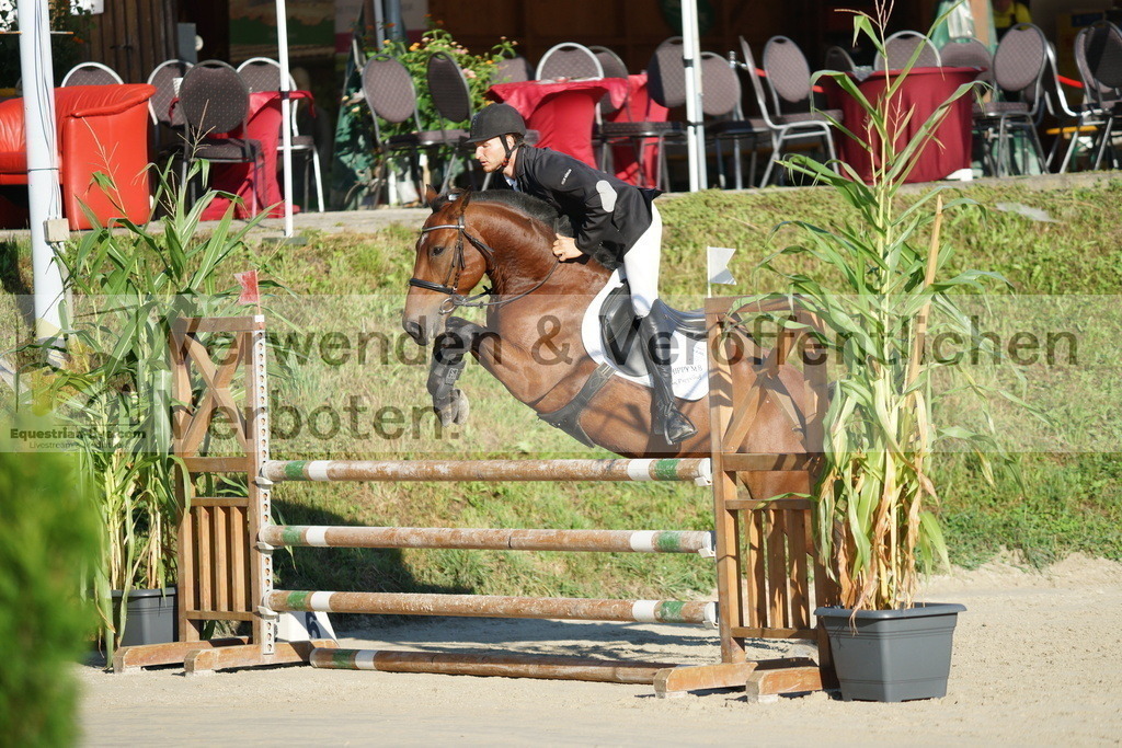 DSC02135 | equestrian-live-com