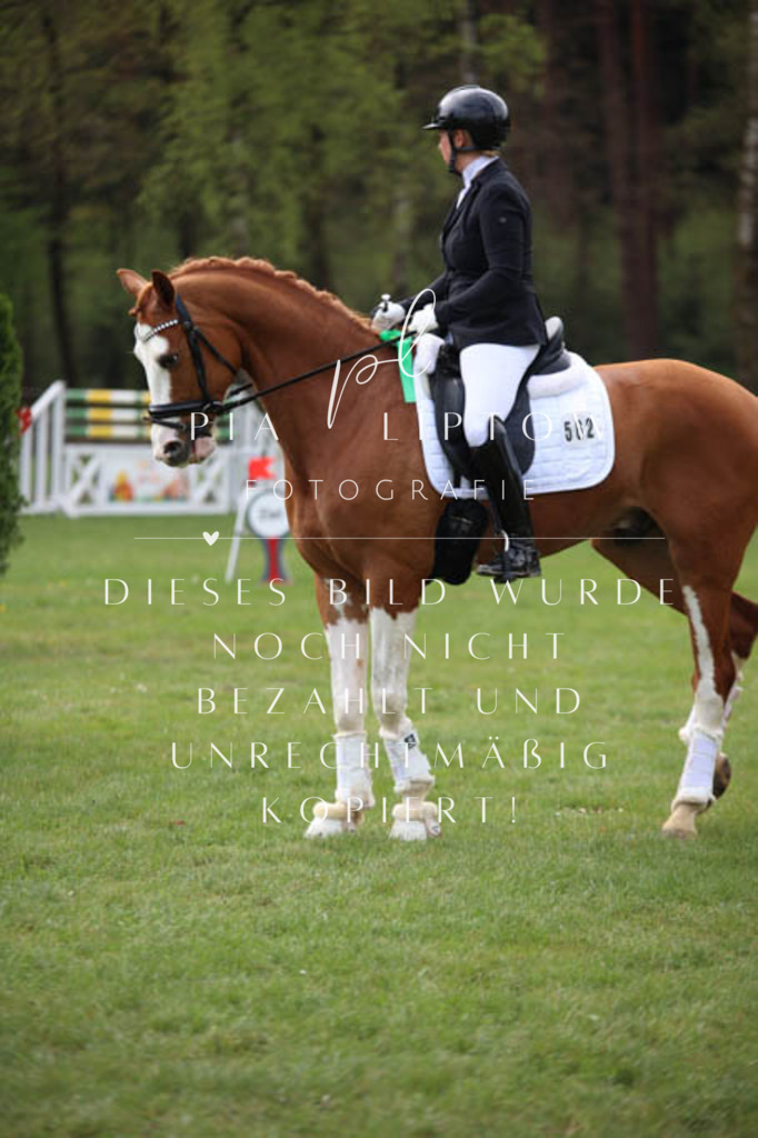 IMGT3459 | pl-fotografie