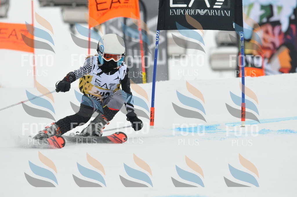 DSC_8376 | holidayphoto