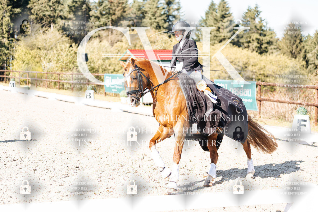 CK908503 | Turnierfotografie Pferdefotografie Trier Rheinland-Pfalz Pferdesport Reitsport Tierfotografie Sportfotografie Pferdevideo Pferdevideografie Equestrianvideography equestrianphotography  - Realisiert mit Pictrs.com