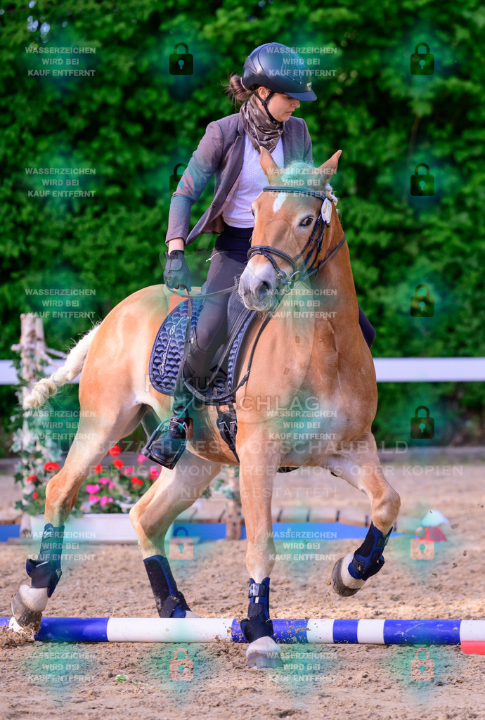 02052026-Giesenbach-03-Speedtrail-0874 | Fokus Hufschlag Fotografie - Realisiert mit Pictrs.com