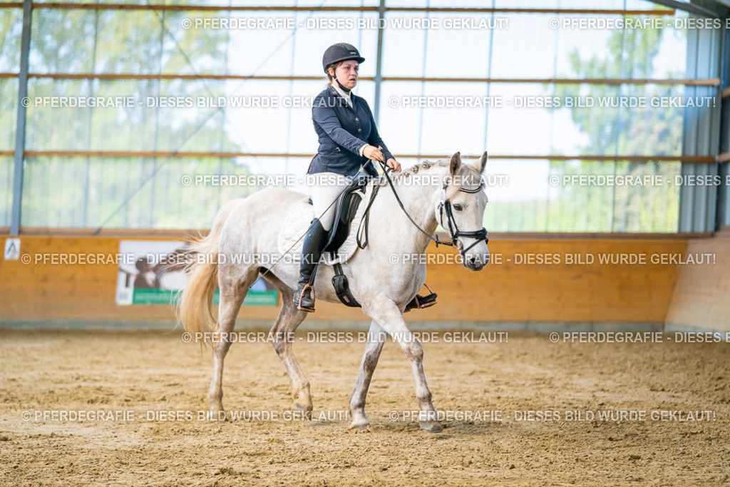 DSC06928 | Pferdegrafie