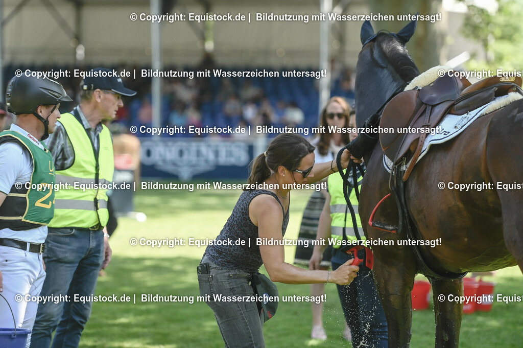 20230527_27_CCI4_Gelände_0488 | equistock