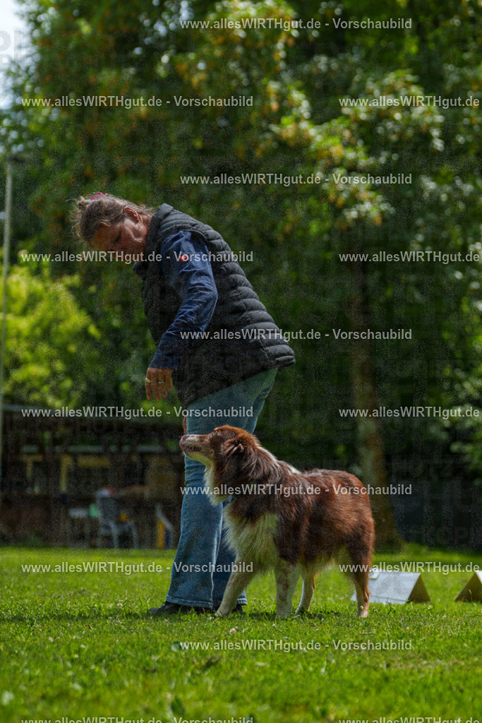 @allesWIRTHgut_Tierfotografie - www.allesWIRTHgut.de - 7R505430 | Professionelle Tierfotografie in Mönchengladbach von Daniel Wirth (allesWIRTHgut). Liebevolle & natürliche Bilder von Hunden & Katzen für unvergessliche Erinnerungen.